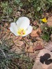 photo of comment
