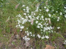 photo of comment