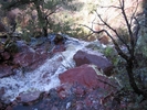 photo thumbnail #10