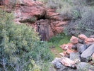 photo thumbnail #14
