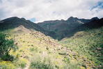 photo thumbnail #10