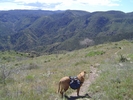 photo thumbnail #2
