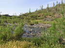 photo thumbnail #2
