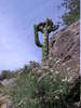 photo thumbnail #3