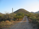 photo thumbnail #6