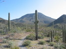 photo thumbnail #9