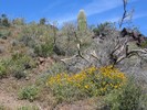 photo thumbnail #15