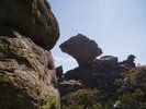 photo thumbnail #14