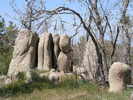 photo thumbnail #3