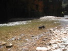 photo thumbnail #7