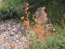 photo thumbnail #13