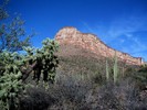 photo thumbnail #4