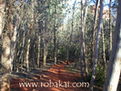 photo thumbnail #4