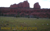 photo thumbnail #5