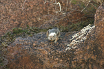 photo thumbnail #11