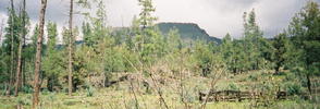 photo thumbnail #1