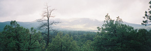 photo thumbnail #13