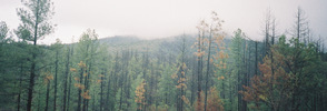 photo thumbnail #14