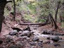 photo thumbnail #8
