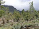 photo thumbnail #11