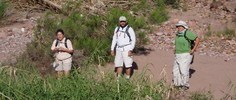photo of comment