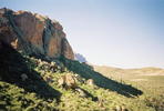 photo thumbnail #4