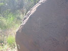 photo thumbnail #13