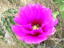 photo thumbnail #10
