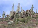 photo thumbnail #11