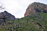 photo thumbnail #5