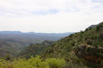 photo thumbnail #7