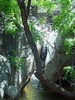 2005-05-07 :2: Cottonwood Creek - Upper Falls :: joebartels