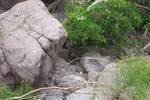 photo thumbnail #2