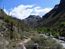 recent photo