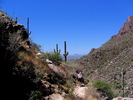 photo thumbnail #2
