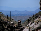 photo thumbnail #5