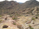 photo thumbnail #12