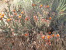 photo thumbnail #15