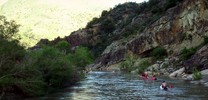 photo thumbnail #4