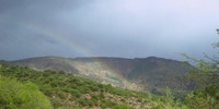 photo thumbnail #10