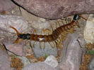 Featured Detail Photo