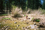 photo thumbnail #8
