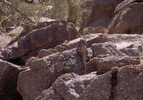 photo thumbnail #8