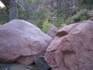 photo thumbnail #6
