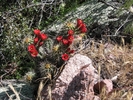 photo thumbnail #13