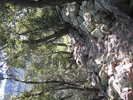 photo thumbnail #14