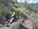 photo thumbnail #15