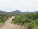 photo thumbnail #1