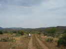 photo thumbnail #2