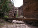 photo thumbnail #10